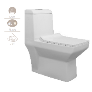 Entasi Two Piece Wall Hung Extended Ewcs